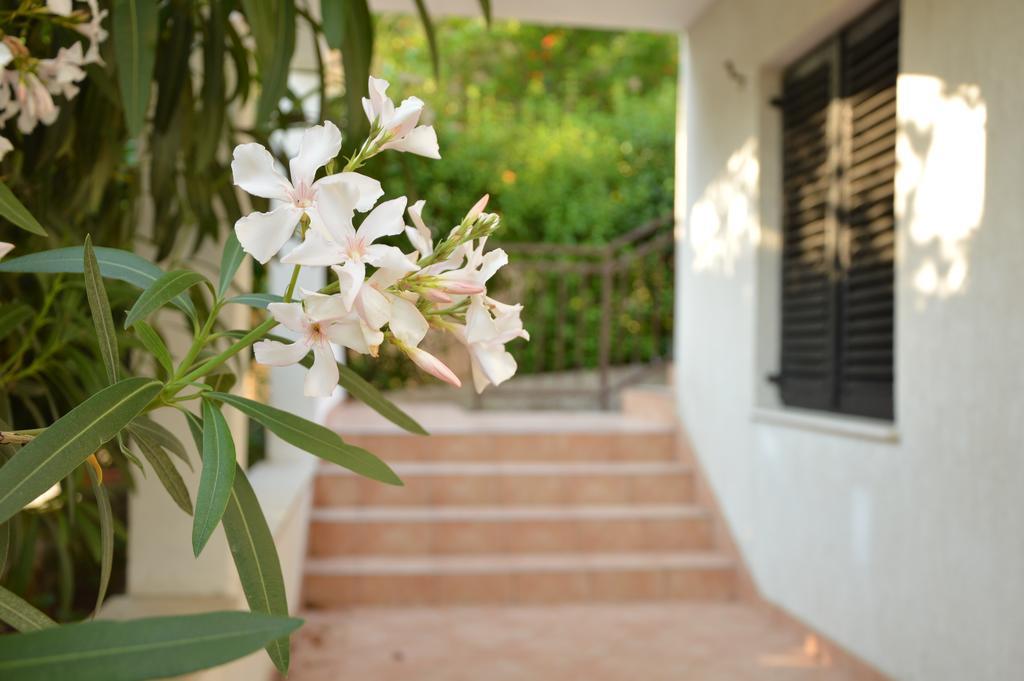 Holiday House Maja Podglavica المظهر الخارجي الصورة